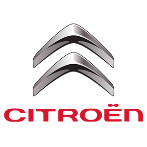 logo 25