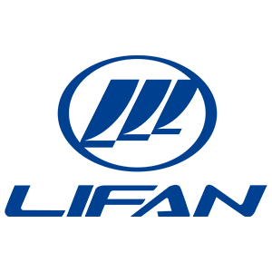logo 30